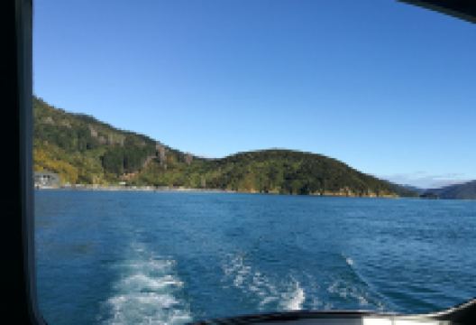 Te Pangu Bay景点图片