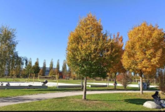 Hallbergmoos Skatepark景点图片