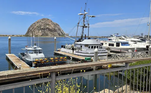 Anchor Memorial Park