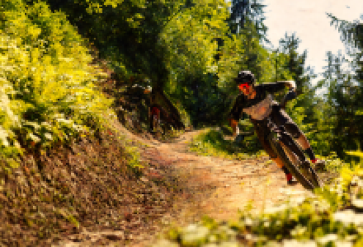 Mountainbike Flowtrail Marbachegg景点图片