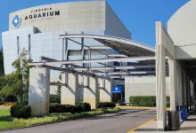 Virginia Aquarium & Marine Science Center景点图片