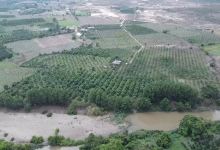 Farm Đá Trắng景点图片