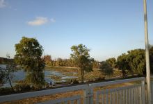 Lacul Tismana景点图片