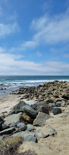 Salt Creek Beach-达纳点