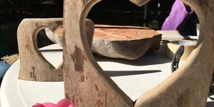 Kellyfield Camellias