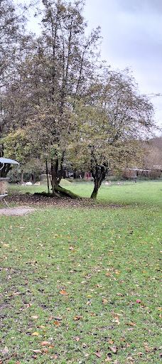 Wildgehege Marienhölzung-弗伦斯堡