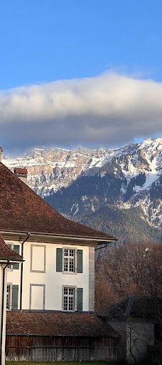 因特拉肯城堡-因特拉肯