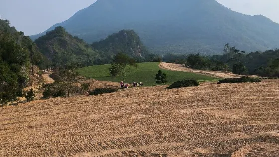 潭水鳳凰山森林公園