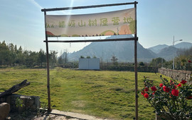 嵖岈山树屋营地