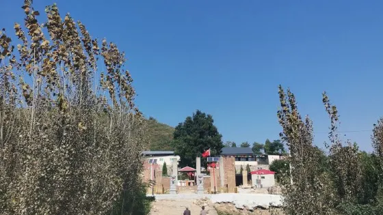 且停寺