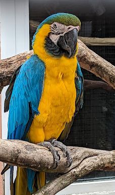 Vogelpark Niendorf-蒂门多尔费尔斯特兰德