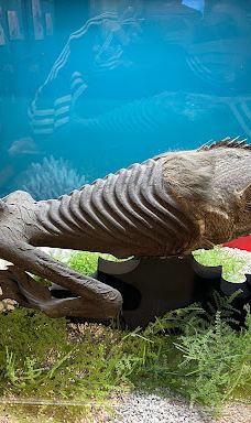 Ripley's Believe It or Not! World of Adventure-纽波特