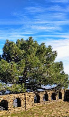 Paraje Natural Los Reales de Sierra Bermeja-Serrania de Ronda