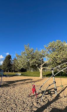 Andy Adams Park-雷顿