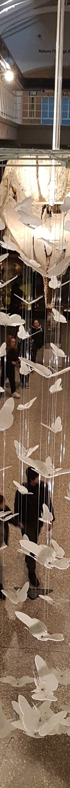 曼彻斯特博物馆-曼彻斯特