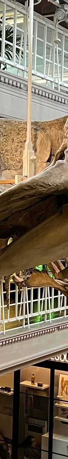 曼彻斯特博物馆-曼彻斯特