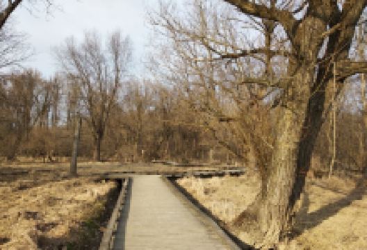 Wildwood Park景点图片