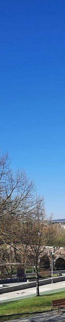 罗马古桥-萨拉曼卡