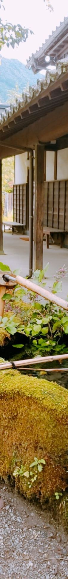 汤之坪街道-由布市