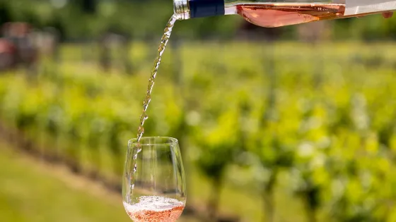 Blue Grouse Estate Winery and Vineyard