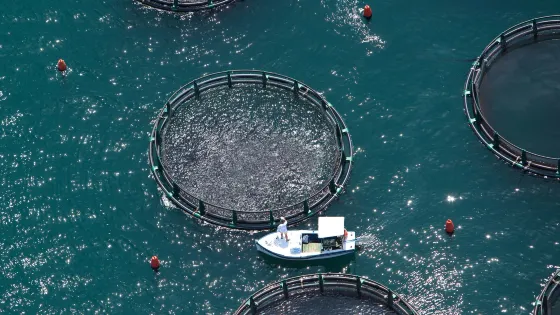 Fonda Fish Farm