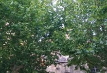 Les Territoires du jazz景点图片
