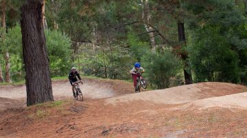 Anglesea Bike Park