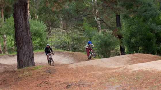 Anglesea Bike Park