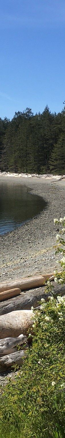 Rebecca Spit Marine Provincial Park-奎德拉岛