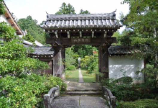 阿育王山 石塔寺景点图片