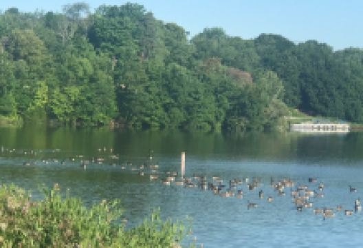 Guilford Lake State Park景点图片