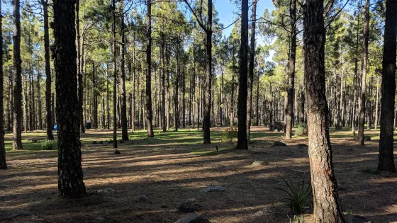 Llanos De La Pez