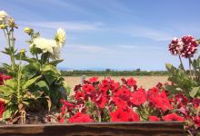 Emma Lea Farms景点图片