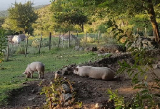 El Puesto de Ferreyra景点图片