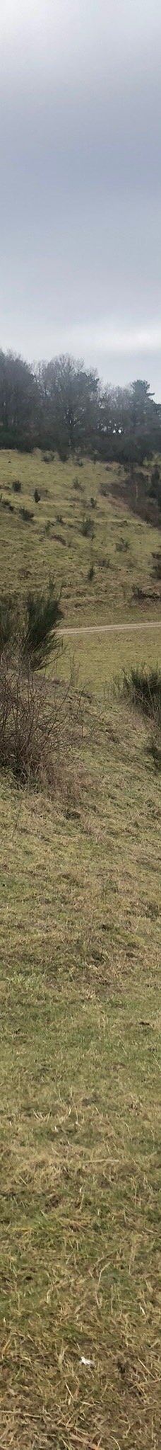 Svanninge Bakker-福堡