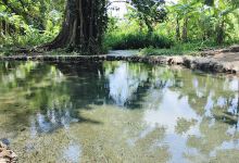 Ojo de agua agria景点图片