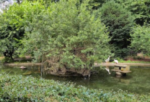 Vogelpark Sankt Leon-Rot景点图片
