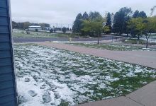 Southwest Park景点图片