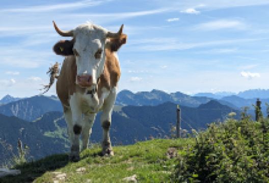 Gipfel Setzberg景点图片