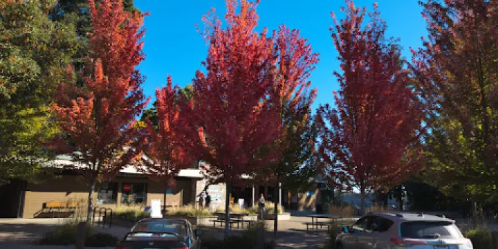 Chemainus Valley Museum