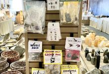 The Bug House购物图片