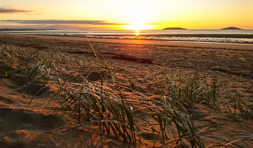 Illawong Beach