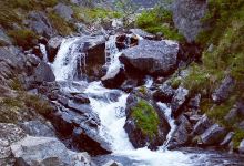 Palmer- Moose Creek Trailhead景点图片
