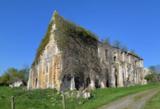 Ruines de l'abbaye Notre-Dame de Barbery景点图片