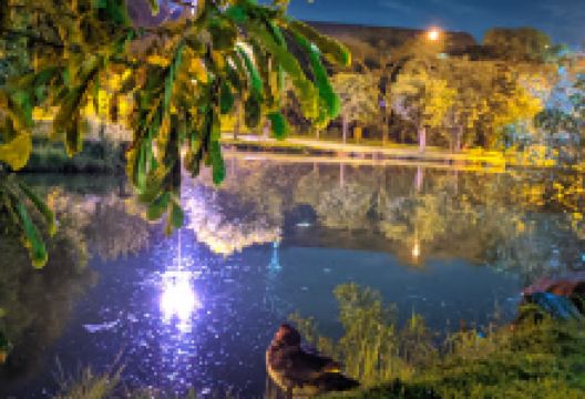 Parque dos Lagos Antonio Scarpellini景点图片