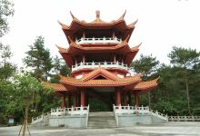 云浮植物园景点图片