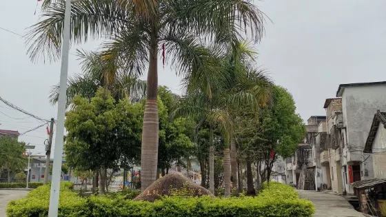 新洞村文化公園