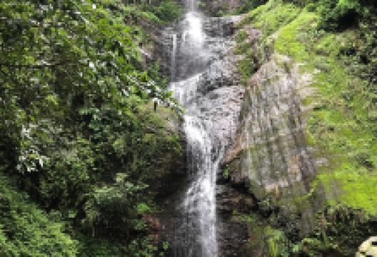 查德威克瀑布景点图片