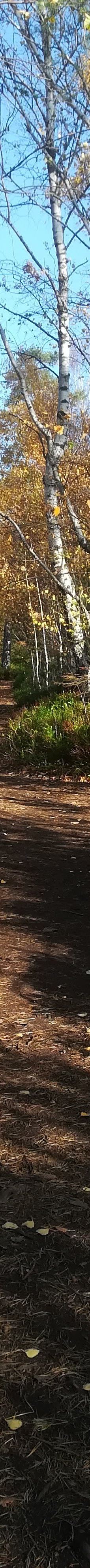 捷克瑞士国家公园-耶特克沃埃斯