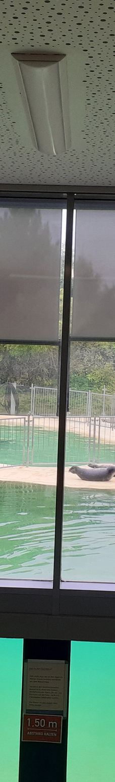 Seehundstation und Waloseum-诺德代希